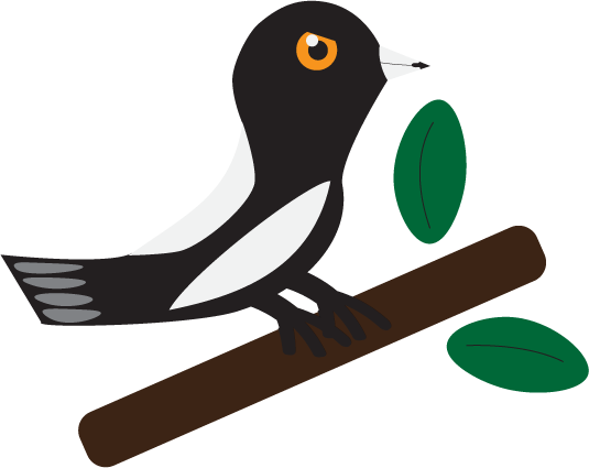 Cartoon Australian Magpie Logo from Couching About